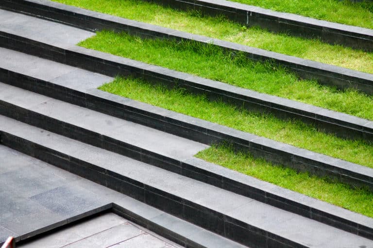 Terraced steps with landscaping