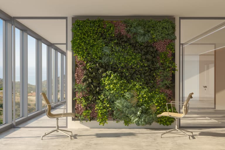 Architecture office with living wall.